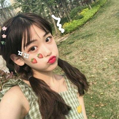 龙拳小子