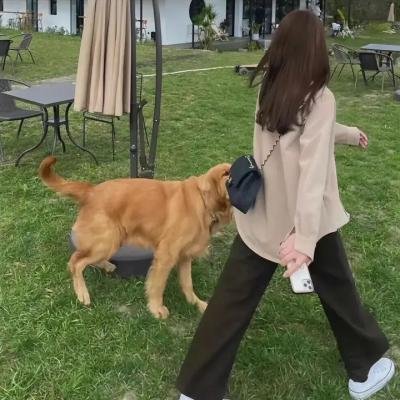 我们的知青年代